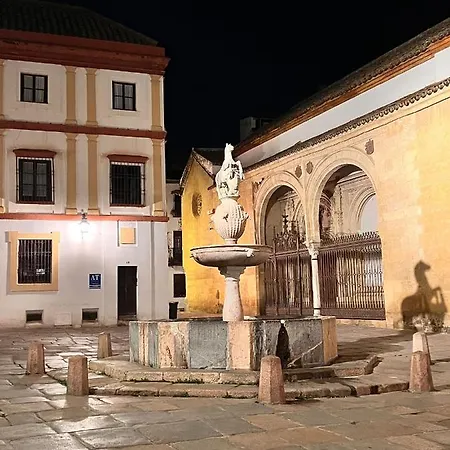 Haza Апартаменти